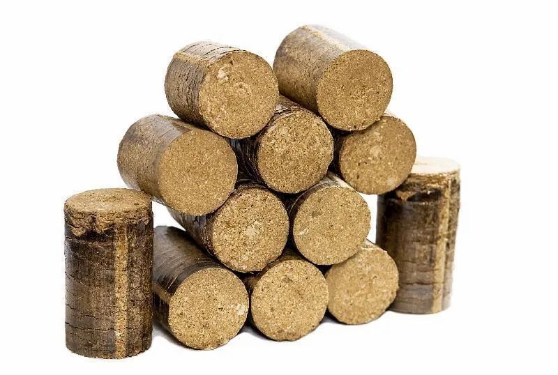 Eco-friendly rice husk briquettes