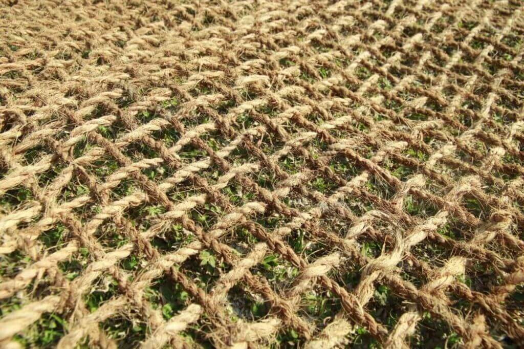 Cocomesh untuk Rehabilitasi Hutan Mangrove Pasca Tsunami