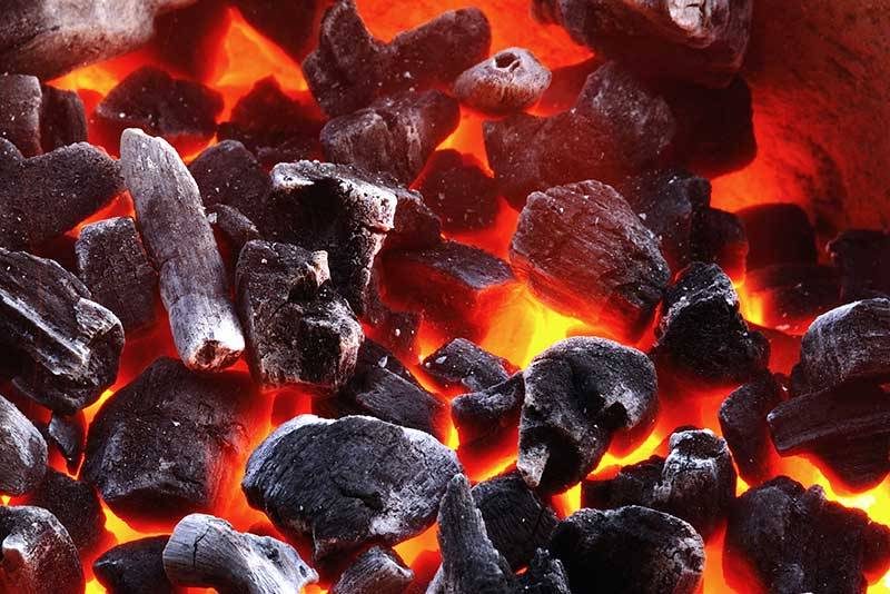فحم جوز الهند عالي الجودة