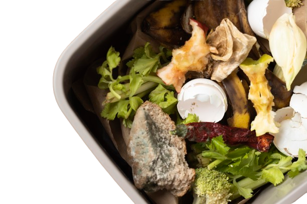 Pemanfaatan Sisa Pangan MBG Kunci Dapur Ramah Lingkungan