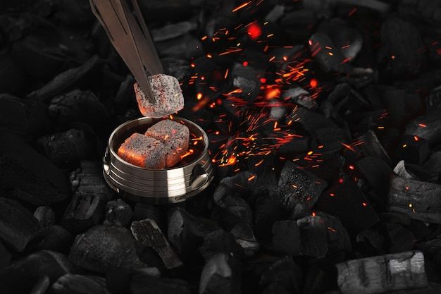 Profitable Coconut Charcoal Briquette Ideas for Business Growth