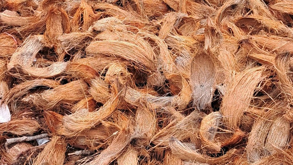 bisnis sabut kelapa rumahan