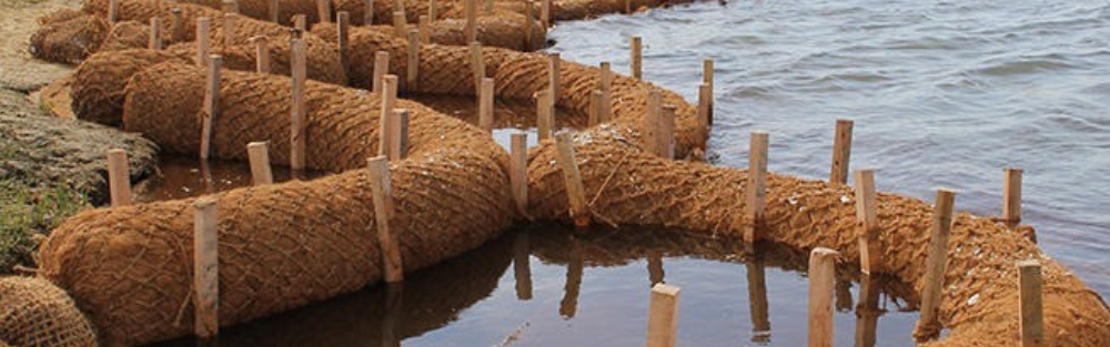 Solusi Alami Mengatasi Erosi di Area Bantaran Sungai